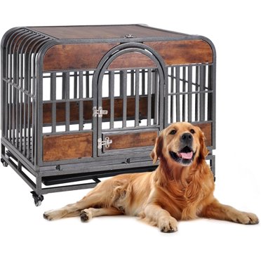 Curated visual reference: Impact Dog Crates High Anxiety Crate 48 Photo Inspiration