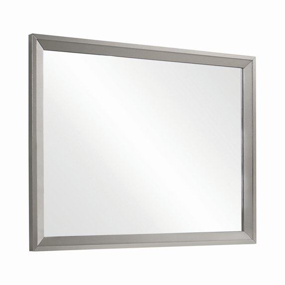 46 Inch Transitional Rectangular Wood Frame Mirror, Gray