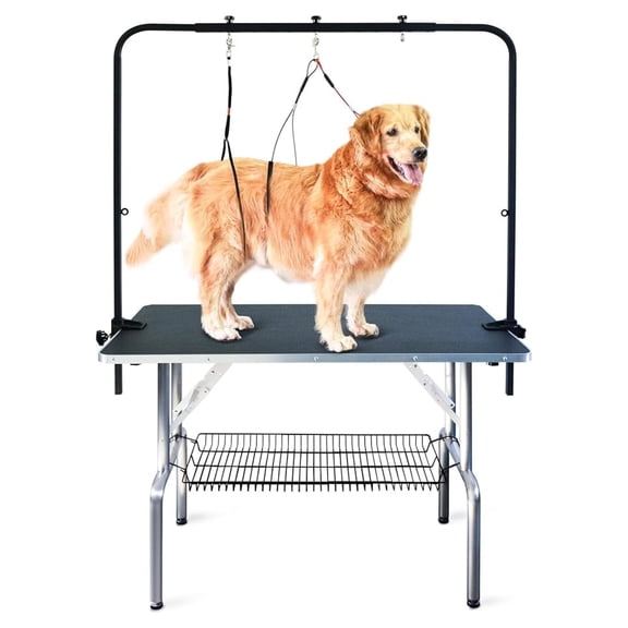 46-in Dog Grooming Table for Large Pets