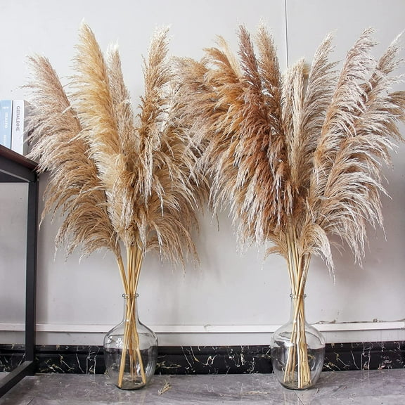 46" inch 10 Stems Natural Pampas Grass Decor Tall, Pompas Grass, Tall Pampas Grass for Weddingm, Farmhouse, Home Decor (Brown)