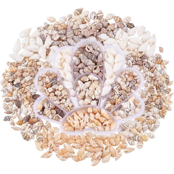 460pcs Natural Spiral Shell Beads 7~20mm 6 Styles Small Seashells Undrilled Ocean Spiral Seashells Miniature Shells