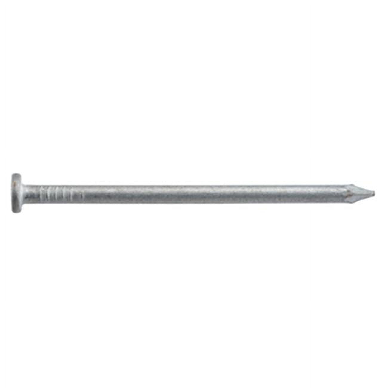 461289 2.5 in. x 8D Hot Dipped Galvanized Common Nails - 30 lbs.