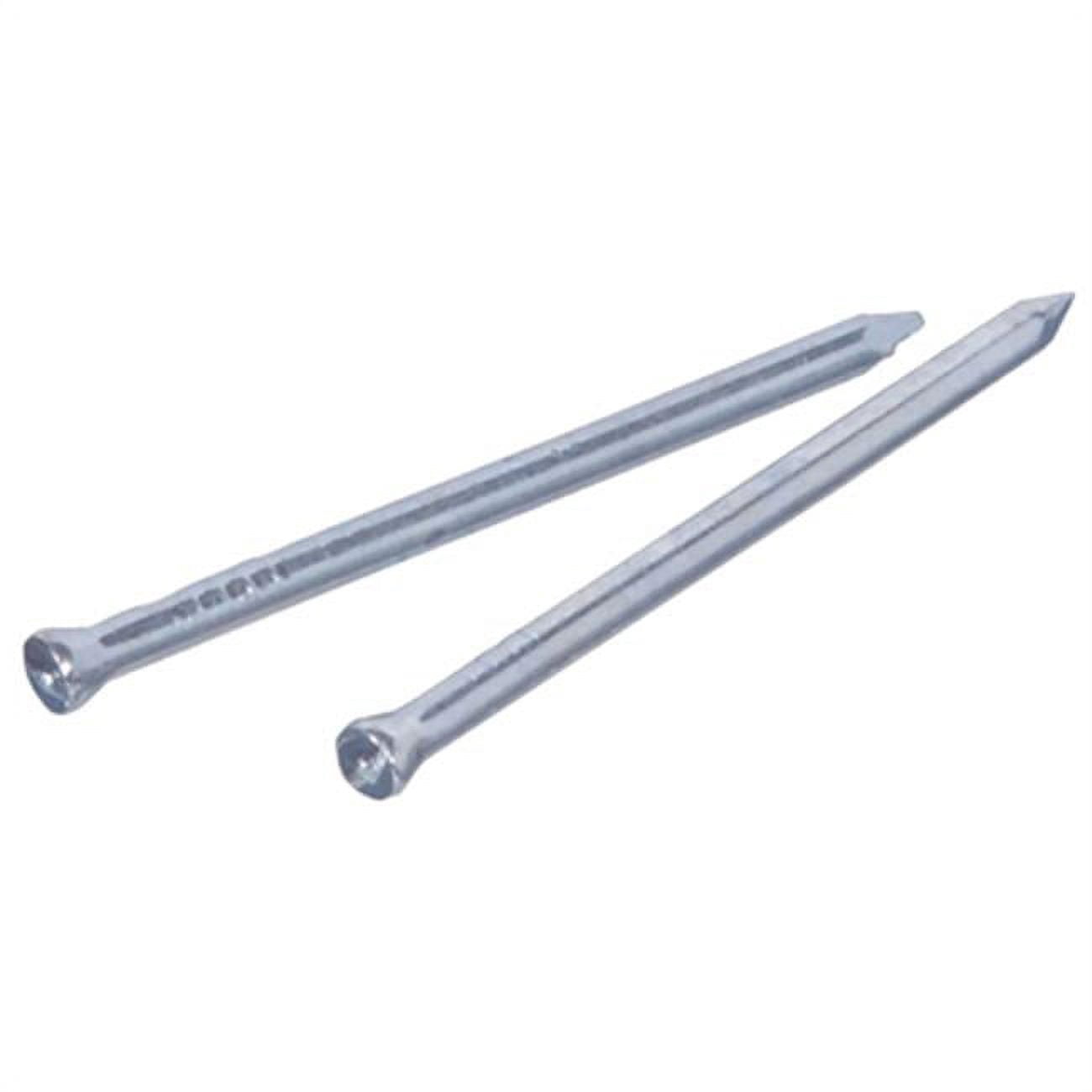 461311 6D x 2 in. Stainless Steel Finish Nails