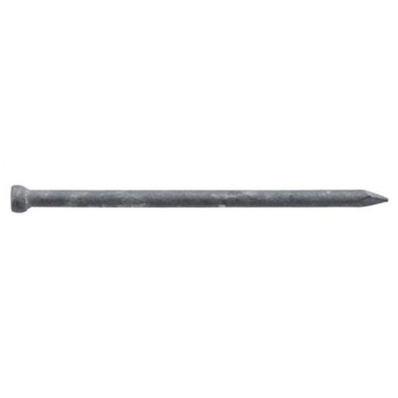 461640 2.5 in. X 10D, Galvanized Finish Nails