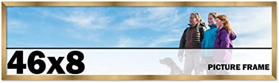 46X8 Frame Bronze Picture Frame - Modern Photo Frame Includes UV Guard ...