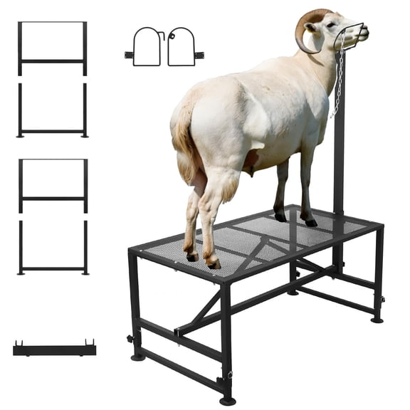 Mesh Surface Goat Stand, Quick Assembly Livestock Table, Freely Adjusted Head Post with Anti-Slip Base Feet for Backyard Pasture Livestock Care