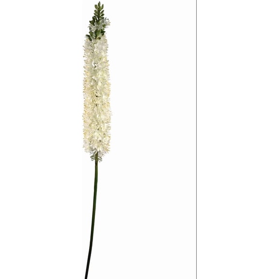 47" Foxtail Grass Spray Tall Artificial Foxtail Stem for Home Dcor, Weddings, Events & Floral Arrangements