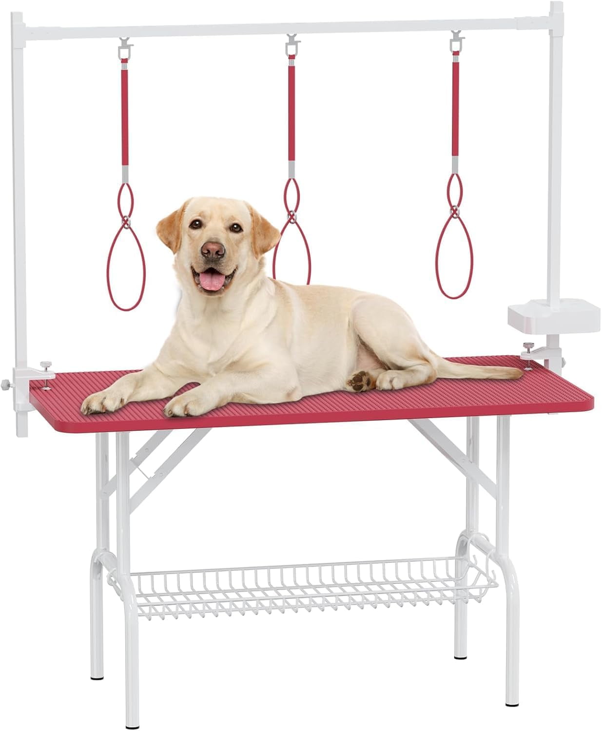 Benefits of Using a Professional Dog Grooming Table - Day Pets