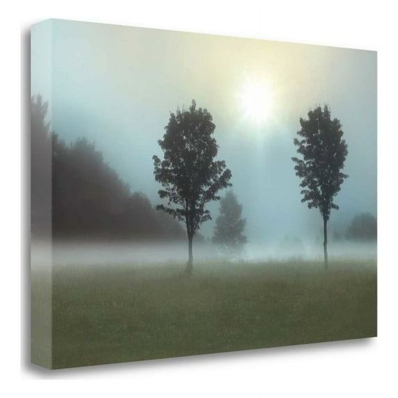 47" x 32" Sunburst by Monte Nagler - Print On Canvas Fabric Multi-Color