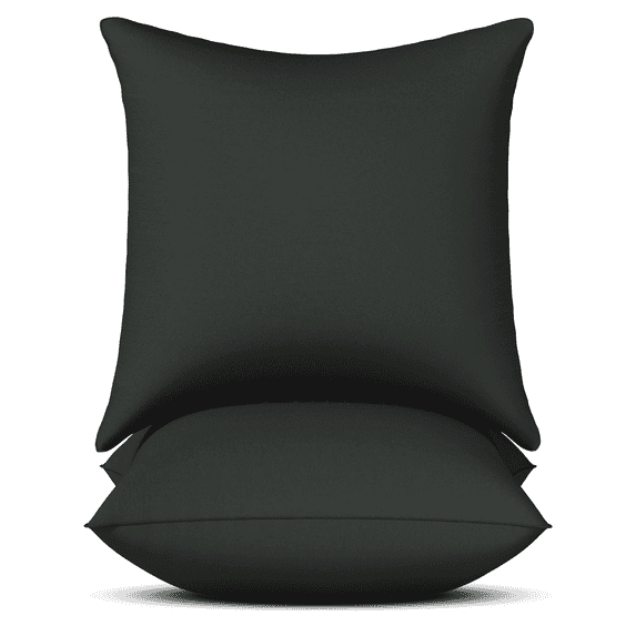 Throw Pillows, 18" x 18" Set of 2 Decorative Pillows, Premium Down Alternative Filled Hypoallergenic Square Pillows for Bed Sofa Couch