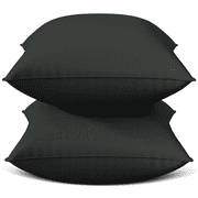 Throw Pillow Inserts Set of 2, Indoor Decorative 18x18 inches Square Pillows for Couch, Sofa, Bed, Supportive Cushion and Sham with Premium Down Alternative Filled, Black