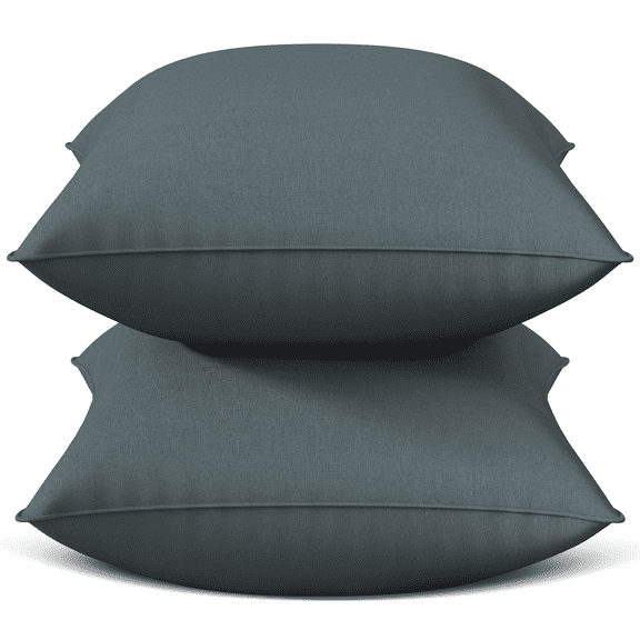 Throw Pillow Inserts Set of 2, Indoor Decorative 18x18 inches Square Pillows for Couch, Sofa, Bed, Supportive Cushion and Sham with Premium Down Alternative Filled, Gray