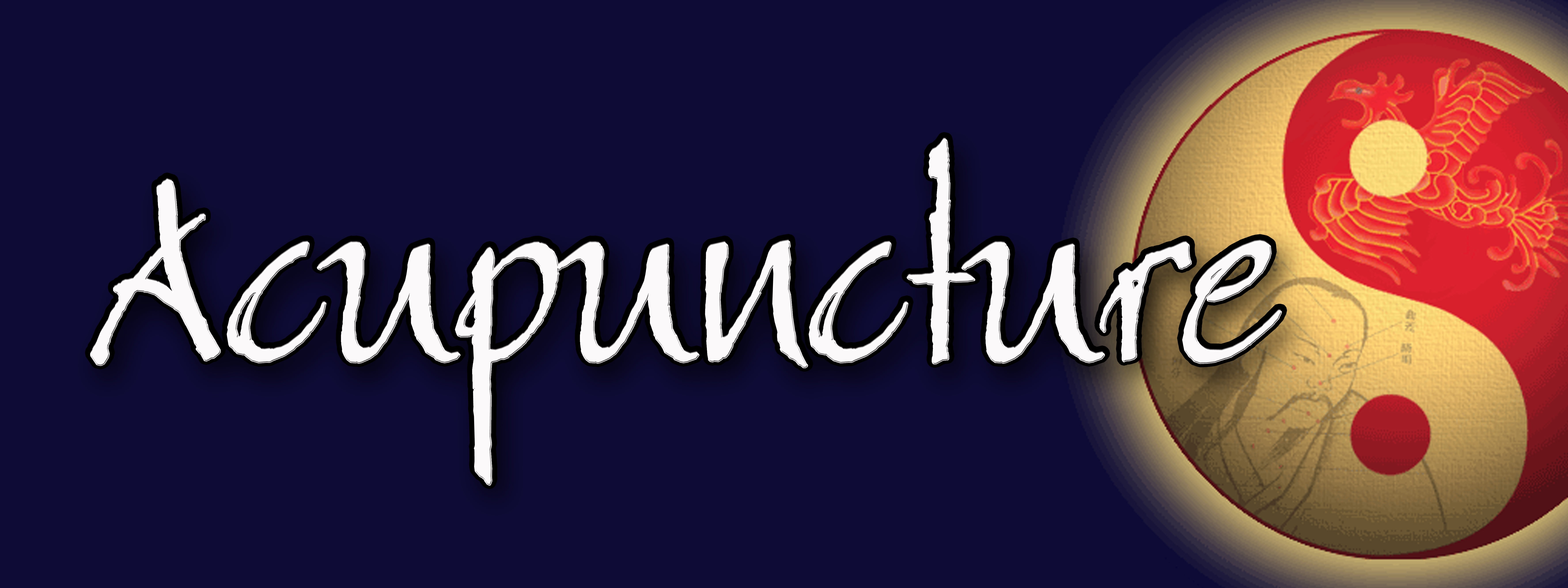 48" ACUPUNCTURE DECAL sticker acupuncturist needles pen