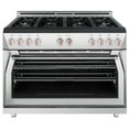 thumbnail image 1 of 48" All Gas Pro-Range, 1 of 9