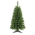 thumbnail image 1 of 48" Canadian Pine Tree, 1 of 2