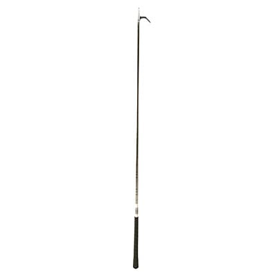 Show Stick