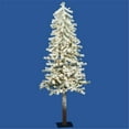 thumbnail image 1 of 48   Flocked Alpine Tree 100CL 256T, 1 of 1