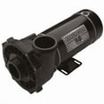 thumbnail image 1 of 48-Frame Spa Pump, 1 of 1