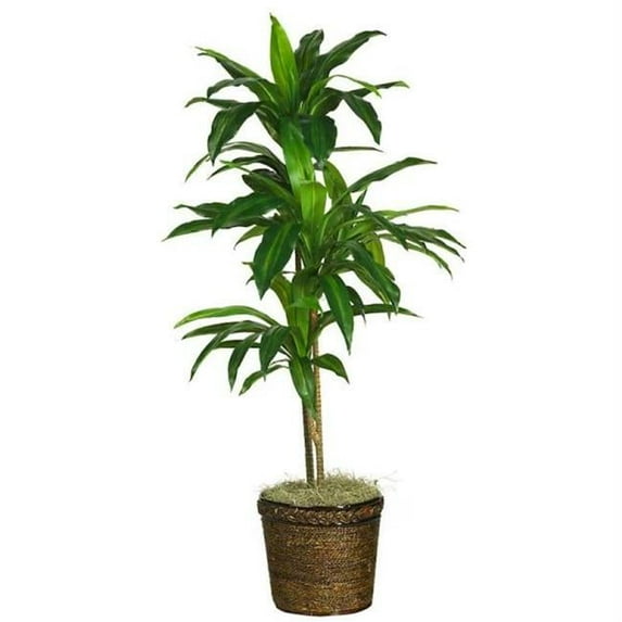 48 Inch Dracaena with Basket Silk Plant Real Touch