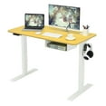 thumbnail image 1 of 48-Inch Electric Standing Adjustable Desk with Control Panel and USB Port, 1 of 9