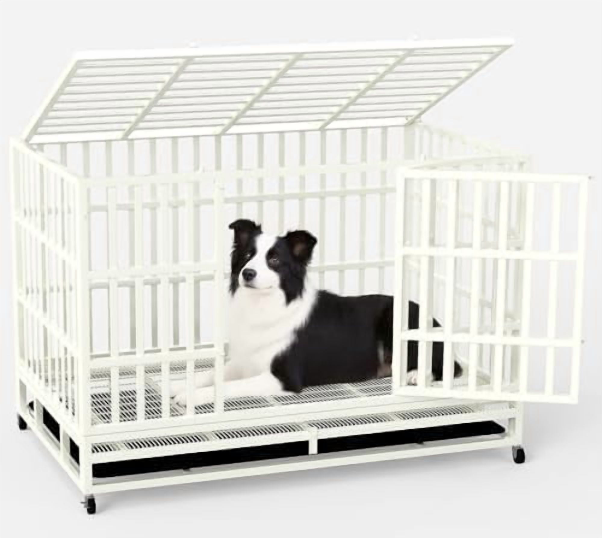 Beautiful view of Heavy Duty Indoor Dog Crates