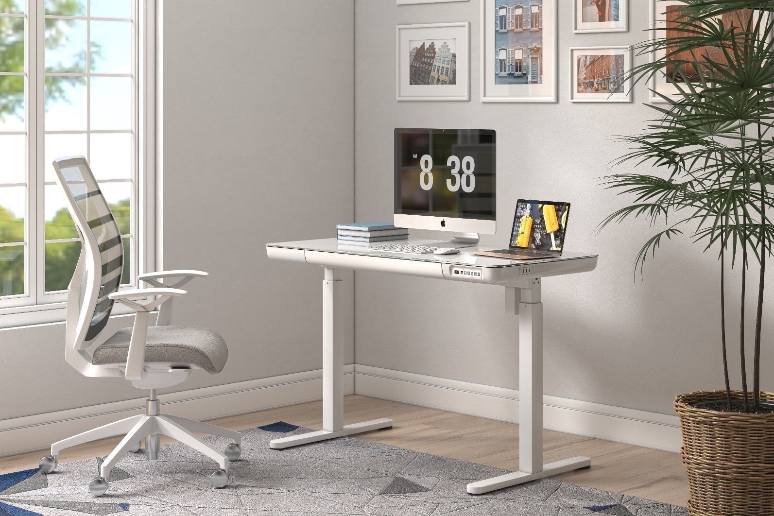 KOWO 48" K3024 Electric Height Adjustable Standing Desk with Tempered Glass Top，1 Pack with Tempered Glass Top, 47.2 in x 23.6 in, White, 2 Pack