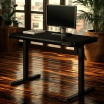 KOWO48" K3024 Electric Height Adjustable Standing Desk with Tempered Glass Top，47.2 x 23.6 in, Black, 1 Pack