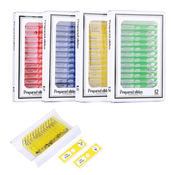 48 PCS Plastic Prepared Microscope Slides for Kids Science Education Plant Animal Insect Specimens