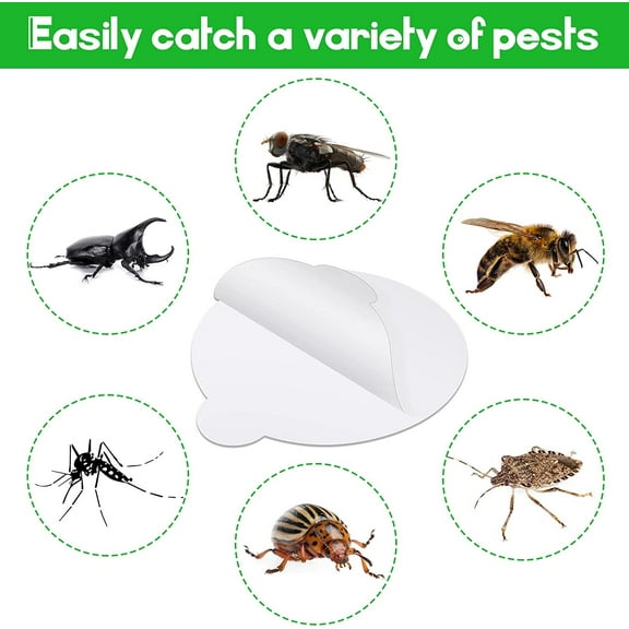 48 Pack 4.3 Inches Round Insect Trap Refillable Glue Boards Sticky Fruit Fly Trap Mosquito Fly Killer for Mosquitoes Fruit Flies Gnats Moths Fits Most Models Indoor Outdoor Lamp