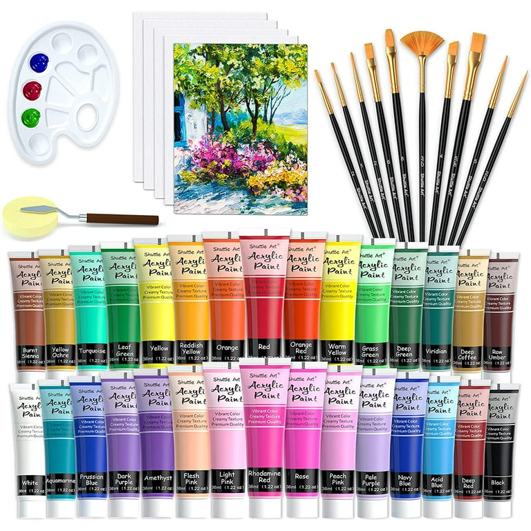 50 Pack Canvas Painting Kit, Shuttle Art Painting Supplies with 28 Multi Sizes Canvas Boards for Painting and 22 Tools Including Paint Brushes, Palett