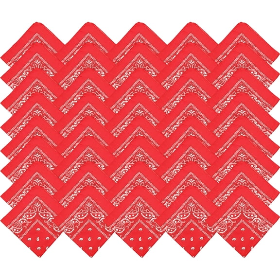 48 Pack Bandanas, Unisex One-Sided Print Paisley Retro Head Wrap Necktie Face Cover Bulk (Red)