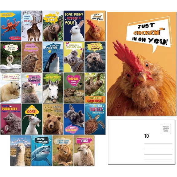 48 Pack Funny Punny Postcards 4 x 6 Inch Animal Pun Postcards Bulk Punny Greeting Cards with Fun Animal Humorous Blank Notecards for Kids Students Summer Camp Lunchboxes