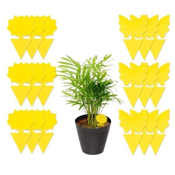 48 Pack Sticky Fruit Fly Traps for Indoor & Outdoor Plants, Non-Toxic Fungus Gnat Traps, Odorless Yellow Sticky Insect Traps for Plant Protection