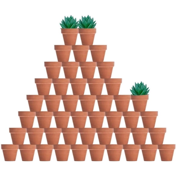 48 Pcs 2" Tiny Terracotta & Terra Cotta Pots with Drainage - Small Mini Clay Ceramic Pottery Planter Ideal for Indoor/Outdoor Plants, Crafts, Wedding Favors