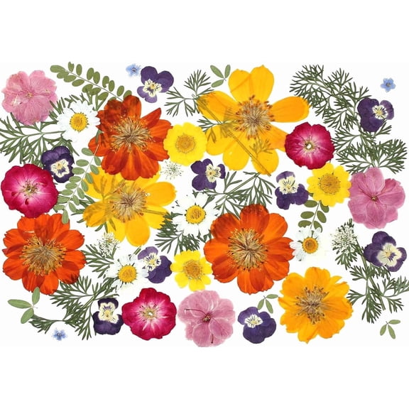 48 Pcs Mix Natural Dried Pressed Flowers for Crafts & Cake Decorating, Real Dry Flower Cocktails, Resin Jewelry Making, DIY Art (Muticolor)