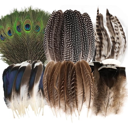 48 Pcs Natural Feathers for Crafts Art, 6 Styles Peacock Pheasant Turkey Duck Feathers Bulk for DIY Costumes Jewelry Hat Wedding Party Halloween Decoration