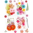 48 Pcs Real Dried Pressed Flowers and Leaves Natural Dried Petals
