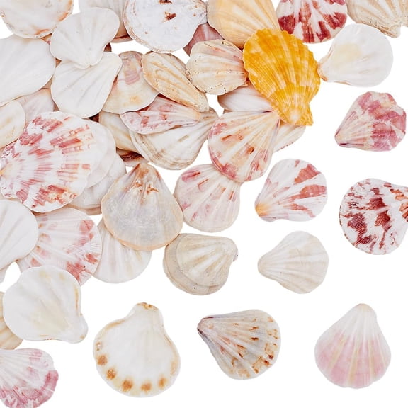 48 Pcs Scallop Beach Sea Shell Beads Natural Shell Crafts Beach Theme Vase Filler
