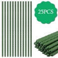 thumbnail image 1 of Bibana 25PCS 48 in Plant Stakes Garden Tomato Sticks Plant Stakes & Supports for Potted Plants, 1 of 9