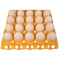 thumbnail image 1 of 48 RITE FARM PRODUCTS 20 EGG PLASTIC TRAYS FOR DUCK GOOSE TURKEY PEAFOWL CARTON, 1 of 5