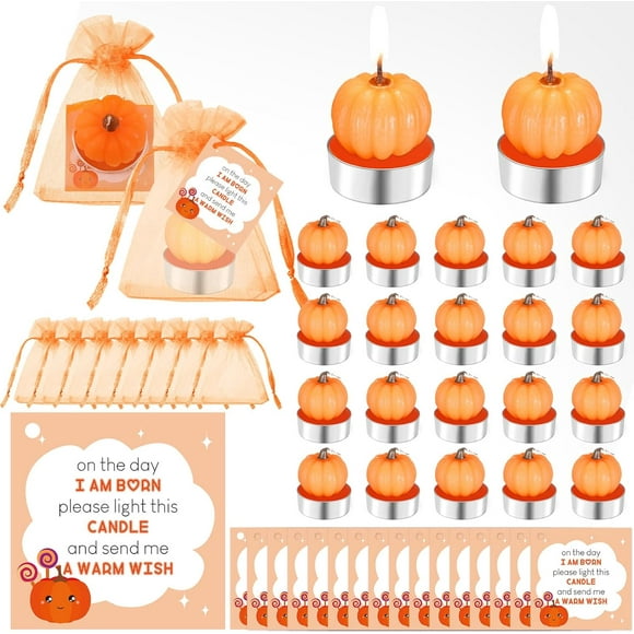 48 Sets Baby Shower Favors Include 48 Succulent Candles Cactus Candles Mini Plants Tea Lights Candles with 48 Invitations Cards and 48 Organza Bags for Baby Gender Reveal Guests(Pumpkin)