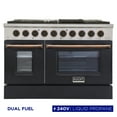 thumbnail image 1 of 48 in. 6.7 cu. ft. Dual Fuel Range for Propane Gas in Black and Gold, 1 of 11