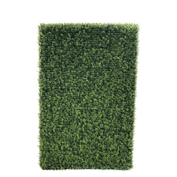 48 in. Boxwood Screen On Wired Frame, Green