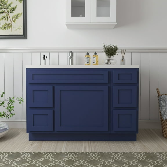 48 in. W x 21 in. D x 32.5 in. H Bath Vanity Cabinet without Top in Blue