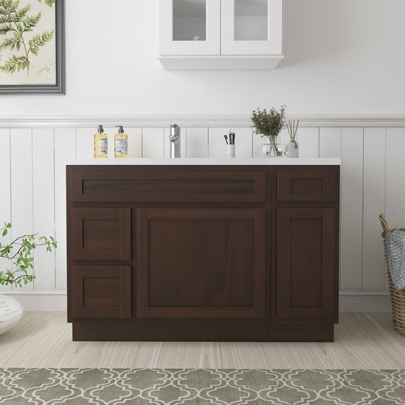 48 in. W x 21 in. D x 32.5 in. H Bath Vanity Cabinet without Top in Brown