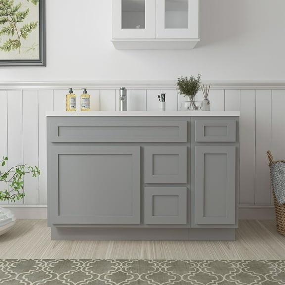 48 in. W x 21 in. D x 32.5 in. H Bath Vanity Cabinet without Top in Gray