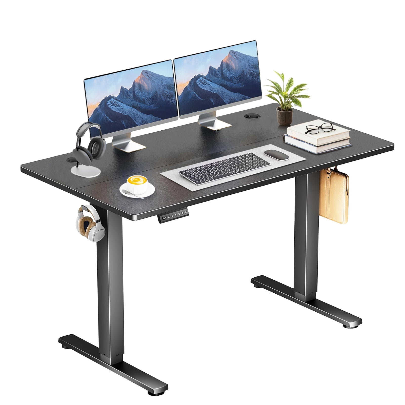 48" x 24" Electric Height Adjustable Standing Desk with Memory Presets, Ergonomic Sit-to-Stand Desk for Home Office, Black