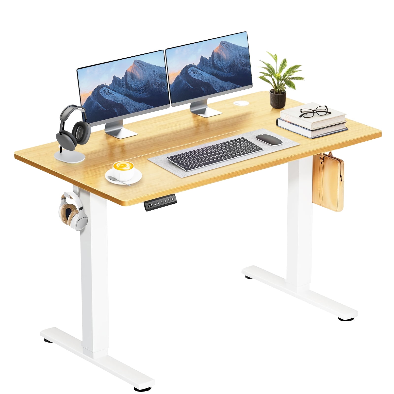 48" x 24" Electric Height Adjustable Standing Desk with Memory Presets, Ergonomic Sit-to-Stand Desk for Home Office, Natural