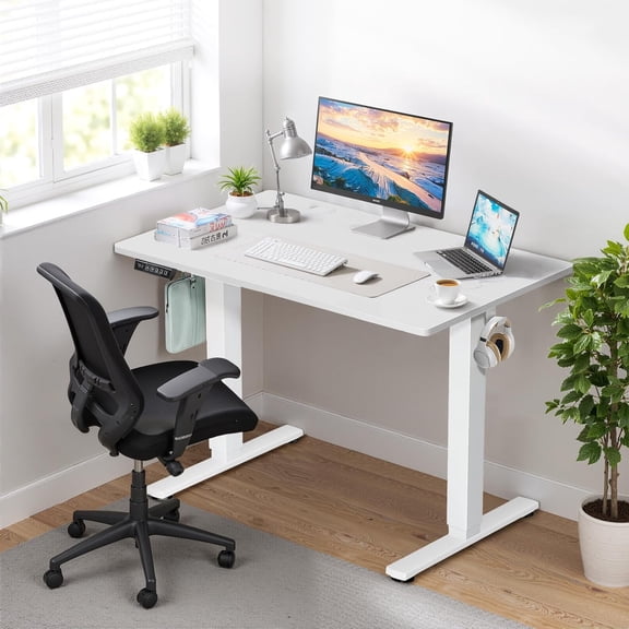 48 x 24 in Electric Standing Desk - Memory Height Adjustable Ergonomic Sit-to-Stand  Computer Table Gaming Workstations with 2 Hooks and Wire Hole for Home Office, White