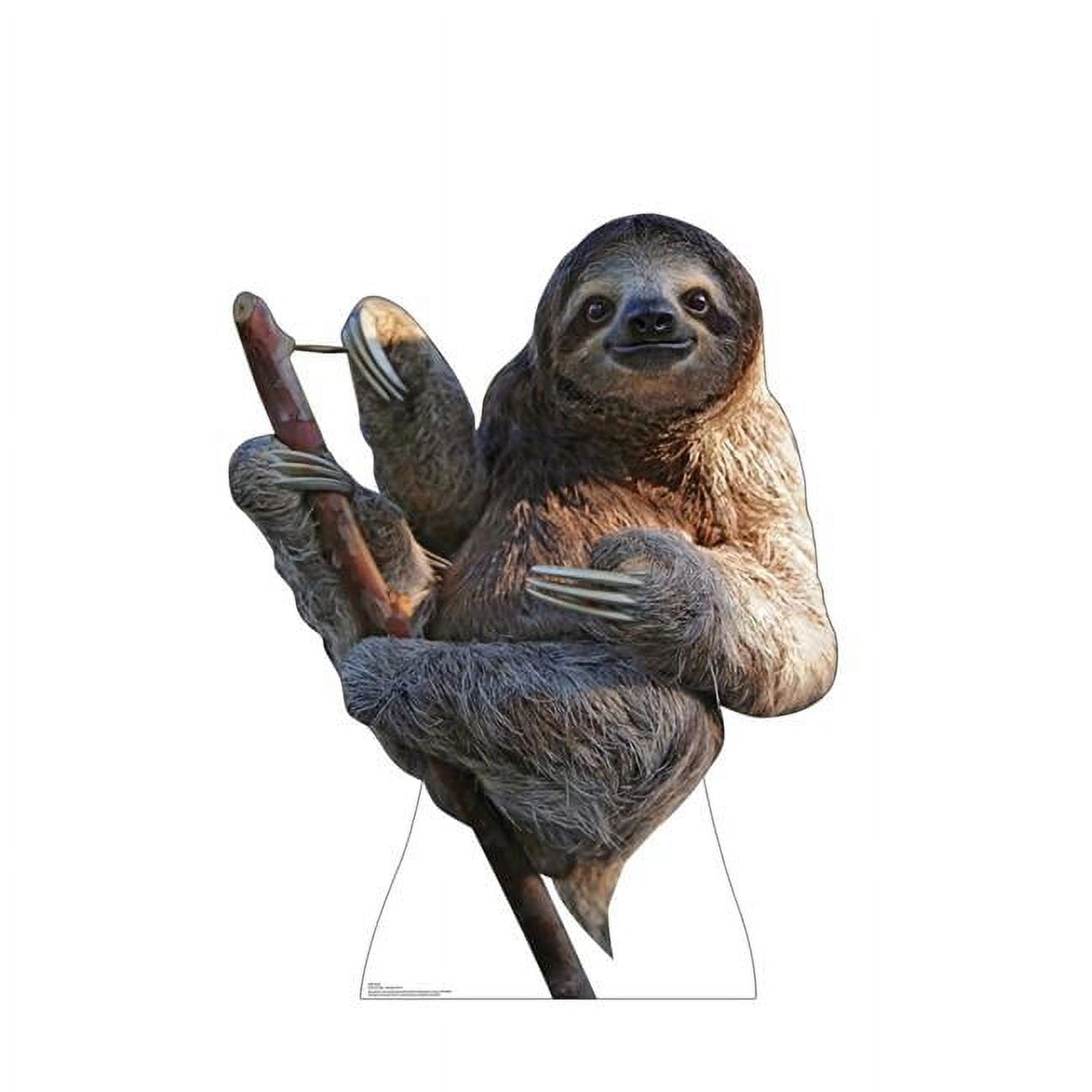 48'' Realistic Sloth Cardboard Stand-Up Decor